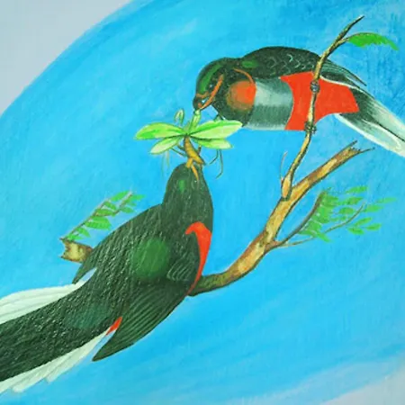 Elegant With Sea View In