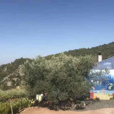 Villa Elegant With Sea View In